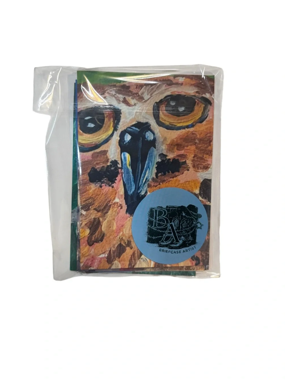 Birds of Wonder Greeting Card Set of 5 by Briefcase Artist